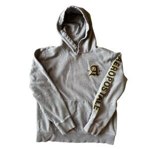 Aeropostale Embroidered Logo Sleeve Hit Heather Gray Medium Hoodie